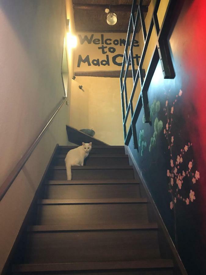 Mad Cat Hostel Osaka & Bar Экстерьер фото